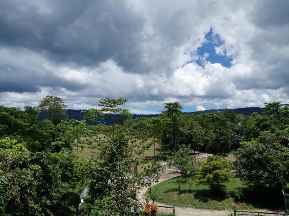 Antani Home @Khaoyai Pong Talong Zewnętrze zdjęcie