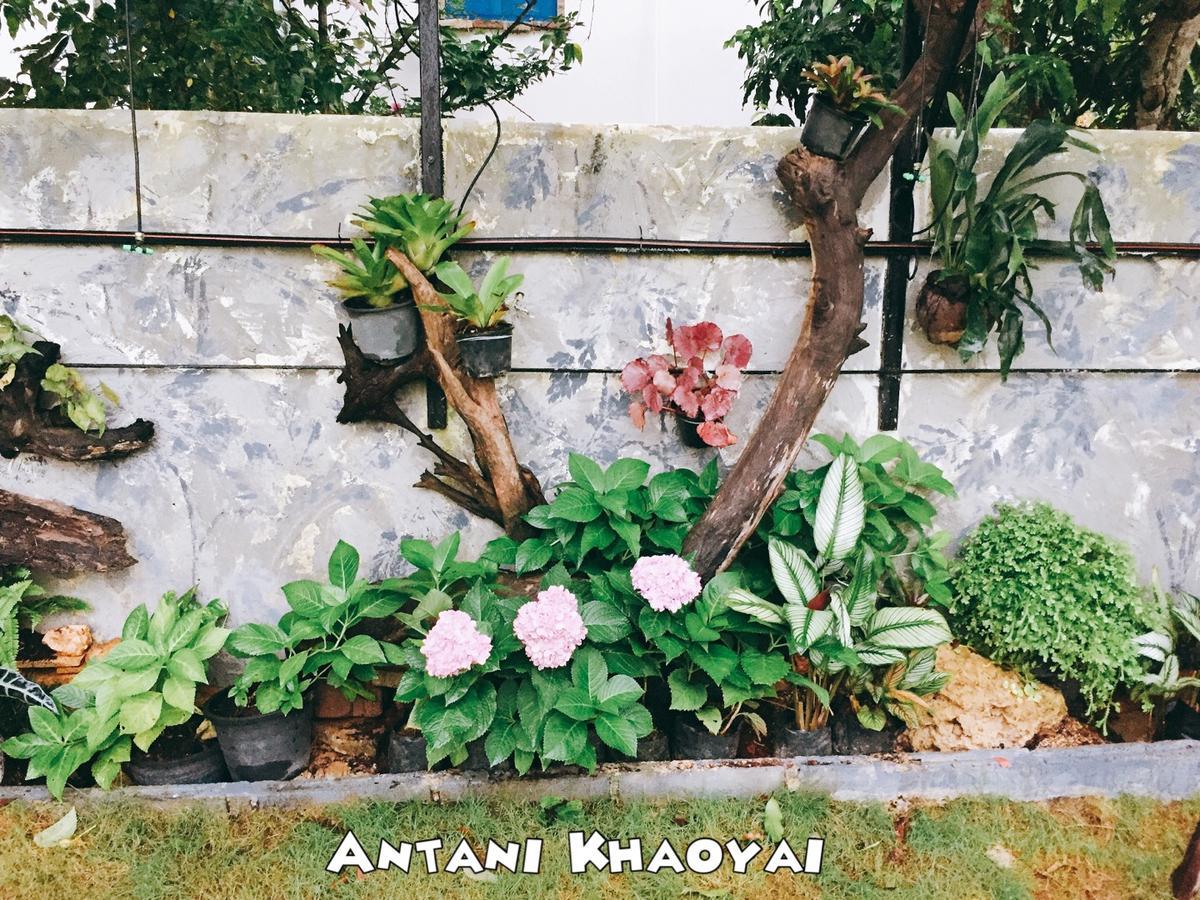 Antani Home @Khaoyai Pong Talong Zewnętrze zdjęcie