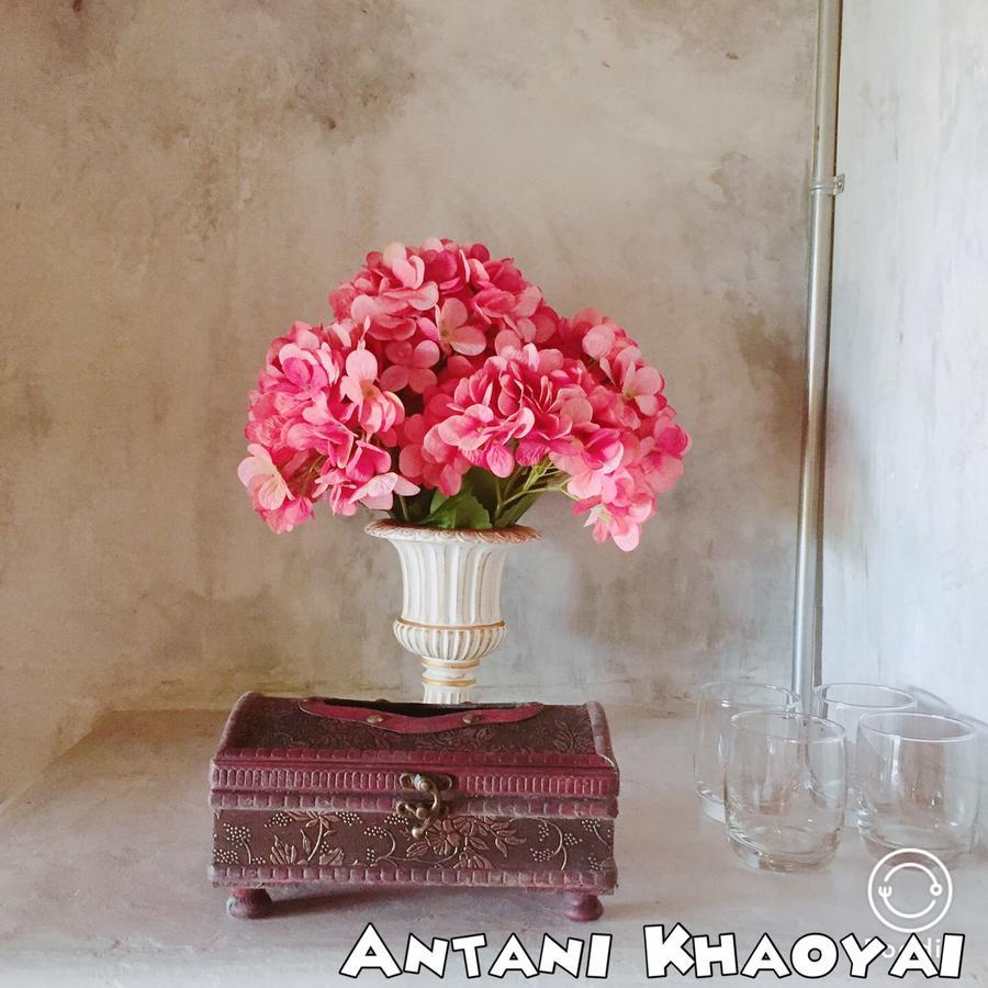 Antani Home @Khaoyai Pong Talong Zewnętrze zdjęcie
